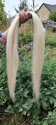 BEST Quality Rocking Horse Mane Hair. BLONDE 51  Long.  Around 330gms • £40