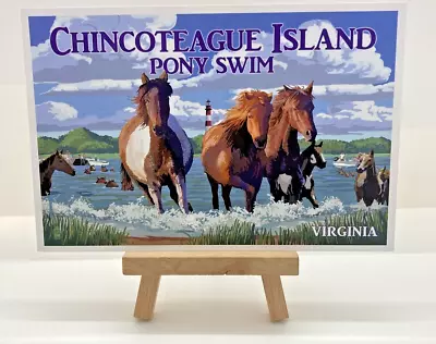 Chincoteague Isaland Virginia Pony Swim  - Lantern Press Postcard (E263) • $2.15