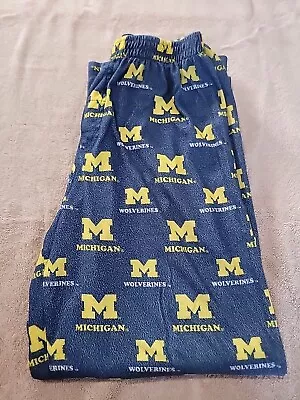 Gen2 Michigan Wolverines Elastic Waist Pajama Sleep Pants Boys Size XL • $7