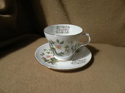 Sadler Wellington   December  Bone China Gold Trim Cup & Saucer • £9.45