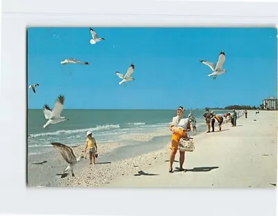 Postcard On The Beach At Marco Island Florida USA • $3.99