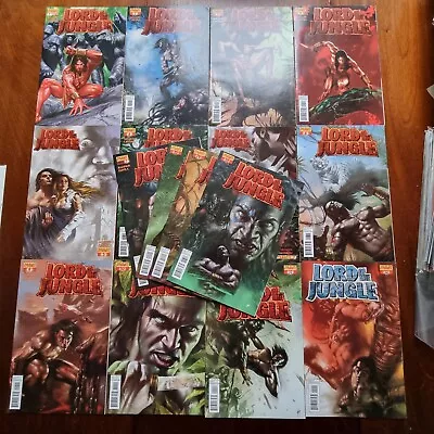 Lord Of The Jungle #1 2 3 4 5 6 7 8 9 10 1 12 13  14 15 + Annual Comic Lot • £19.99