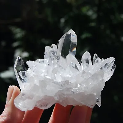 Natural Clear Quartz Cluster White Clear Crystal Specimen Minerals Decoration • $16.90