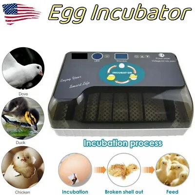 12 Eggs Mini Visual Egg Incubator Digital Egg Incubator W/Automatic Turning • $71.99