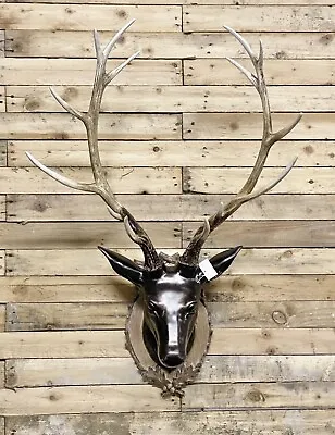 Large Stag Wall Art Animal Head Stag Headlarge Wall Mounted Deer Head 100cm • £89