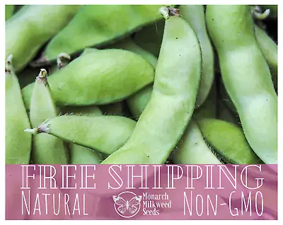 25+ Edamame Soybean Bean Seeds | Heirloom Non-GMO Vegetable Gardening Seeds • $15.99