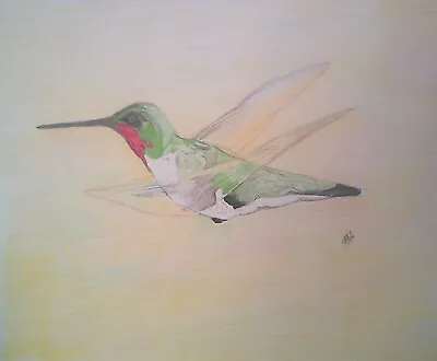 Original Hummingbird Portrait By American Artist Masha • $159