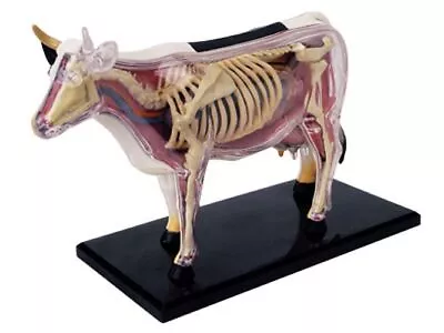 Animal Puzzle Cow Toys Veterinary Anatomical Models Detachable DIY Children Gift • $129.52