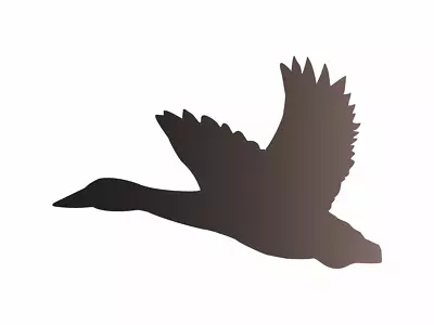 Duck Flying STENCIL Mallard Drake Greenhead Hunt Marsh Silhouette DIY Art Signs • $13.95