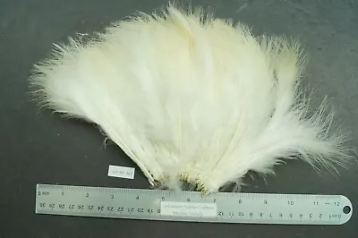 Natural Cream/White 5  To 6  Strung Turkey Marabou Feathers Lot- SF 363 • $5.99