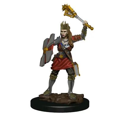 $19.95 • Buy Dungeons & Dragons Premium Female Human Cleric Pre-Painted Figure