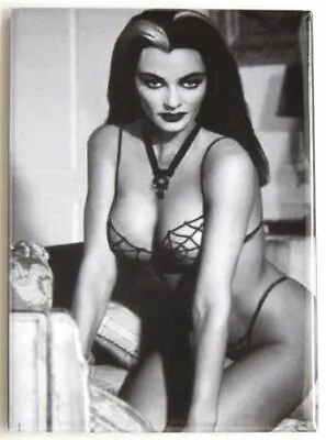 Lily Munster MAGNET 2 X3  Fridge Locker Vintage Card Reto Munsters Spider Web • $6.95