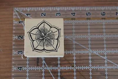MAGENTA Flower Wood Rubber Stamp Hibiscus Morning Glory M • $7