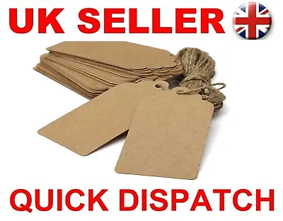 £2.99 • Buy 33/66/100pc Kraft Paper Varied Sizes & Color Tags Label Card Gift FREE Twine 