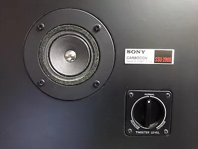 Vintage Rare Sony SSU-2000 Speakers • $120