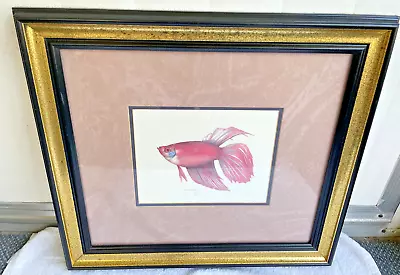VTG Framed Signed Jean Cassady Red Fighting Fish Print Dbl Matte LE  #112/950 • $25.50