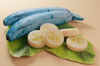 Blue Javanese Banana 20+ Seeds (Musa Acuminata × Balbisiana) • $230