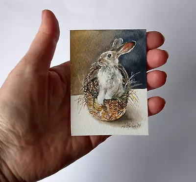 Original Not A Print ACEO Watercolour Miniature Signed. Rabbit In Basket . • £8