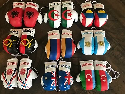Mini Boxing Gloves ALBANIA ALGERIA ANGOLA ANTIGUA AND BARBUDA ARGENTINA • $12.99