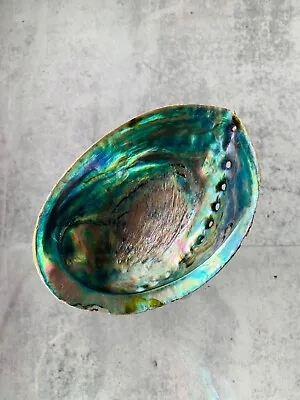 Green Abalone Shell Smudging Bowl Seashell Incense Burner 5-6    • $12