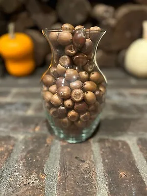 200 Red Oak Acorns From Ohio - Cleaned And Sorted For Crafts Etc. • $8