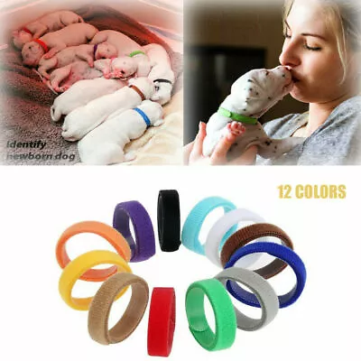 12 COLORS Identification Whelping Puppy Kitten ID Collars Bands Soft Adjustable • £3.99