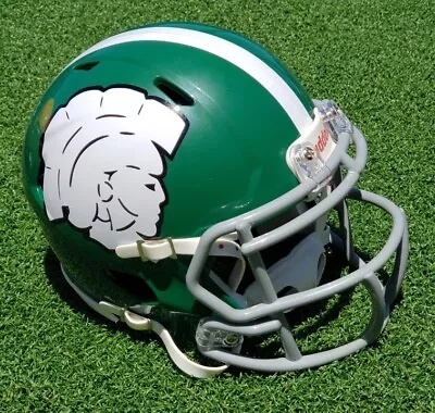 Michigan State Spartans 1973  Cauliflower  Tribute Football Mini Helmet • $51