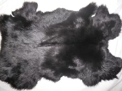 9 X14  BLACK Rabbit Skin Hide Pelt Craft #063 • $12.50