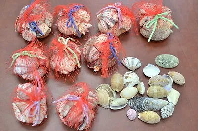 £14.57 • Buy Assort Mix Sea Shell Gift Basket Net Wedding 12 Bags #7308