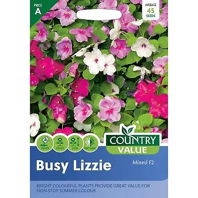 Country Value Busy Lizzie Mixed F2 Grow Your Own Garden Flower Seeds Packet • £3.99