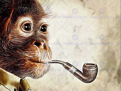 87517 MONKEY SMOKING PIPE FUNNY Decor Wall Print Poster • $13.95