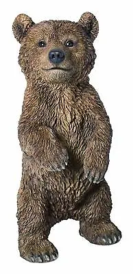 Vivid Arts Real Life Standing Bear Cub - Size C • £43.19