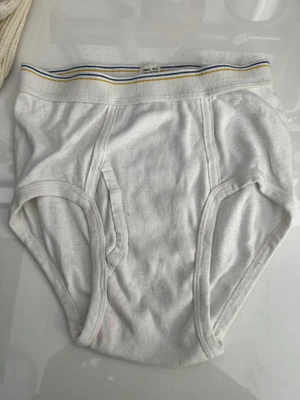 $14 • Buy Vintage Fruit Of The Loom Sears Branded Brief Underwear White 1980 30-32
