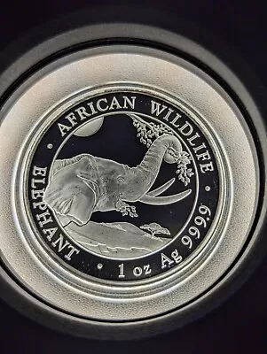 1 Oz .999 Silver 2023 Somalia Elephant Coin - Free Capsule • $42.95