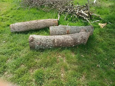£99 • Buy Various Oak Tree Trunks. Dimensions Range From 145 X 28 Dia Cm, 190 X 36 Dia Cm