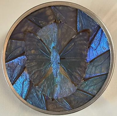 Morpho Butterfly Iridescent Blue Wing Plate Wall Art Vintage • $39.99