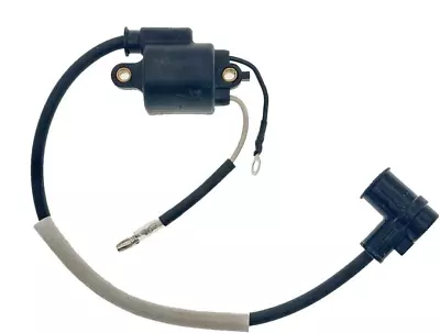 15662602111 Ignition Coil For Echo IGNITION COIL PB-400E PB-410 PB-411 LBB-4000 • $51.95
