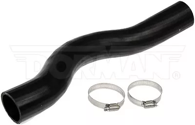 Dorman 573-072 Fuel Filler Hose Fits Chevy S10 GMC Sonoma 15761471 • $34.28