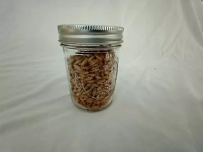 1/2 PINT Mushroom Jars READY  Sterilized Substrate Grain Grow Fast SHIP [C] • $12.95