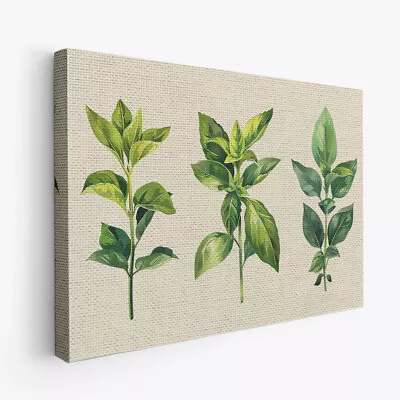 Basil Boho Minimalist Design 2 Horizontal Canvas Wall Art Prints Pictures • $58.99