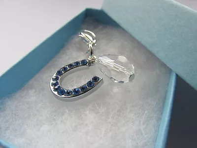 £4.75 • Buy Perfect Wedding Gift For The Bride - Blue Mini Horseshoe & Glass Teardrop Charm 