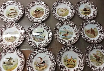 Spode Woodland Set Of 12 Dinner Plates- 12 Different Designs- 4 Birds 2 Fish ++ • $259.99