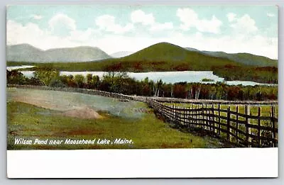 Maine~Scenic View Of Wilson Pond Near Moosehead Lake~Leighton Vintage Postcard • $3.70