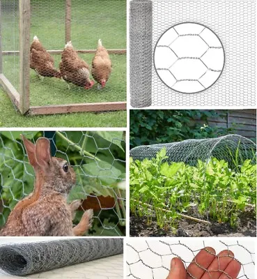 Galvanised Chicken Wire Mesh Netting Rabbit Cage Aviary Fence Garden Plant Net • £9.95