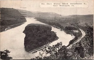 Black Walnut Island Susquehanna River Near Meshoppen Pa. B&W A-199-324 • $14.99