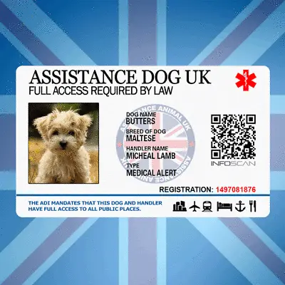 $20 • Buy ASSISTANCE DOG UK - SERVICE ID BADGE FOR UNITED KINGDOM GREAT BRITAIN AREA ADi 