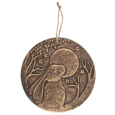 Moon Gazing Hare Plaque By Lisa Parker Witch Pagan Magic Garden Cottage Bronze • £9.99