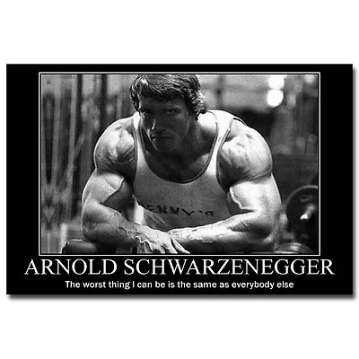 Arnold Schwarzenegger Bodybuilding Fitness Motivational Quotes Silk Poster 009 • $9.49