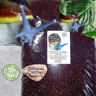 £8.99 • Buy Giant African Land Snail Substrate Soil PREMIUM With Oyster, Garden Snails, GALS