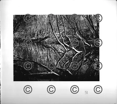 BOOK PLATE B&W Photo MORLEY BAER San Jose Creek Carmel 1951 9X9.5  • $9.99